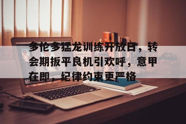 九游中心-多伦多猛龙训练开放日，转会期扳平良机引欢呼，意甲在即，纪律约束更严格的简单介绍